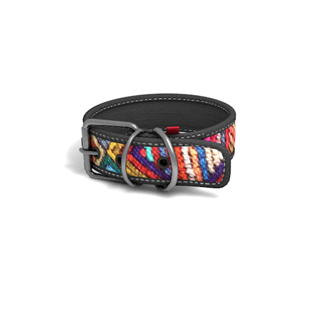 Collar Perro Cool Can Collar Perro Cool Can